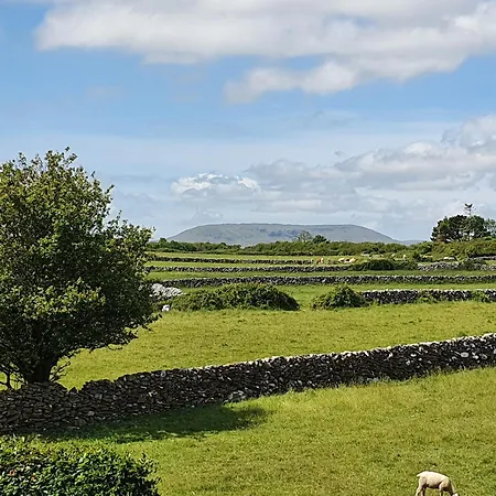 Getaway Holiday home Cong