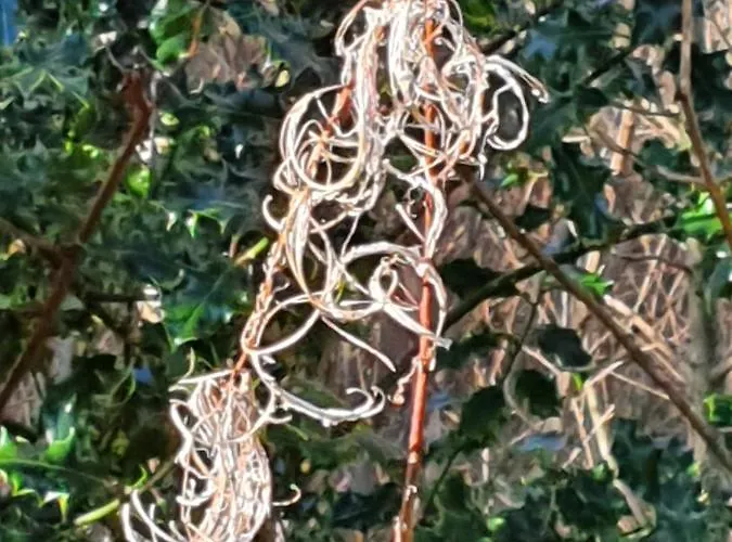 Feriehus Getaway Cong